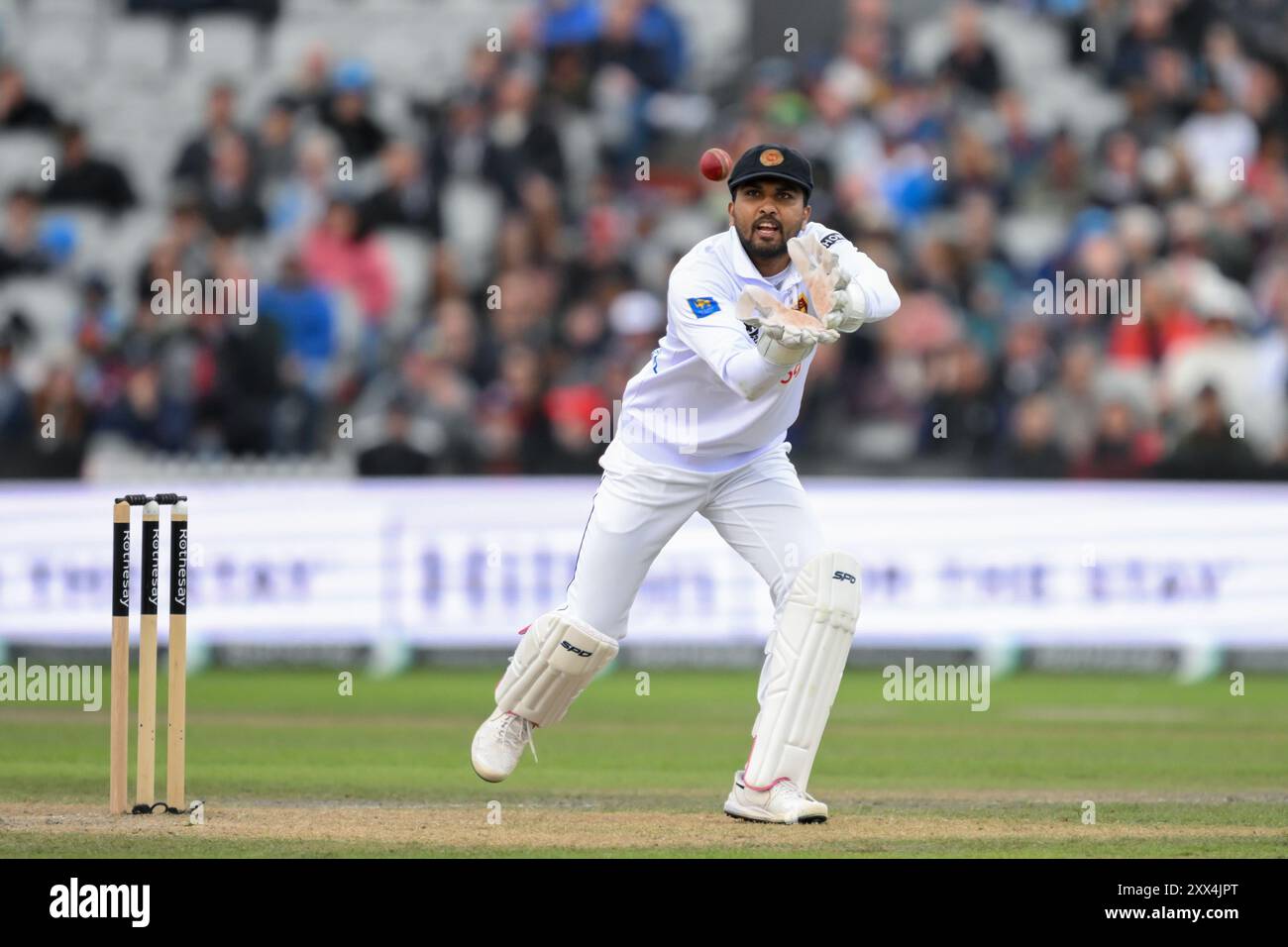 Dinesh Chandimal du Sri Lanka attrape le ballon pendant le match Angleterre Men v Sri Lanka 1er Rothesay test match jour 2 à Old Trafford, Manchester, Royaume-Uni, 22 août 2024 (photo par Craig Thomas/News images) Banque D'Images