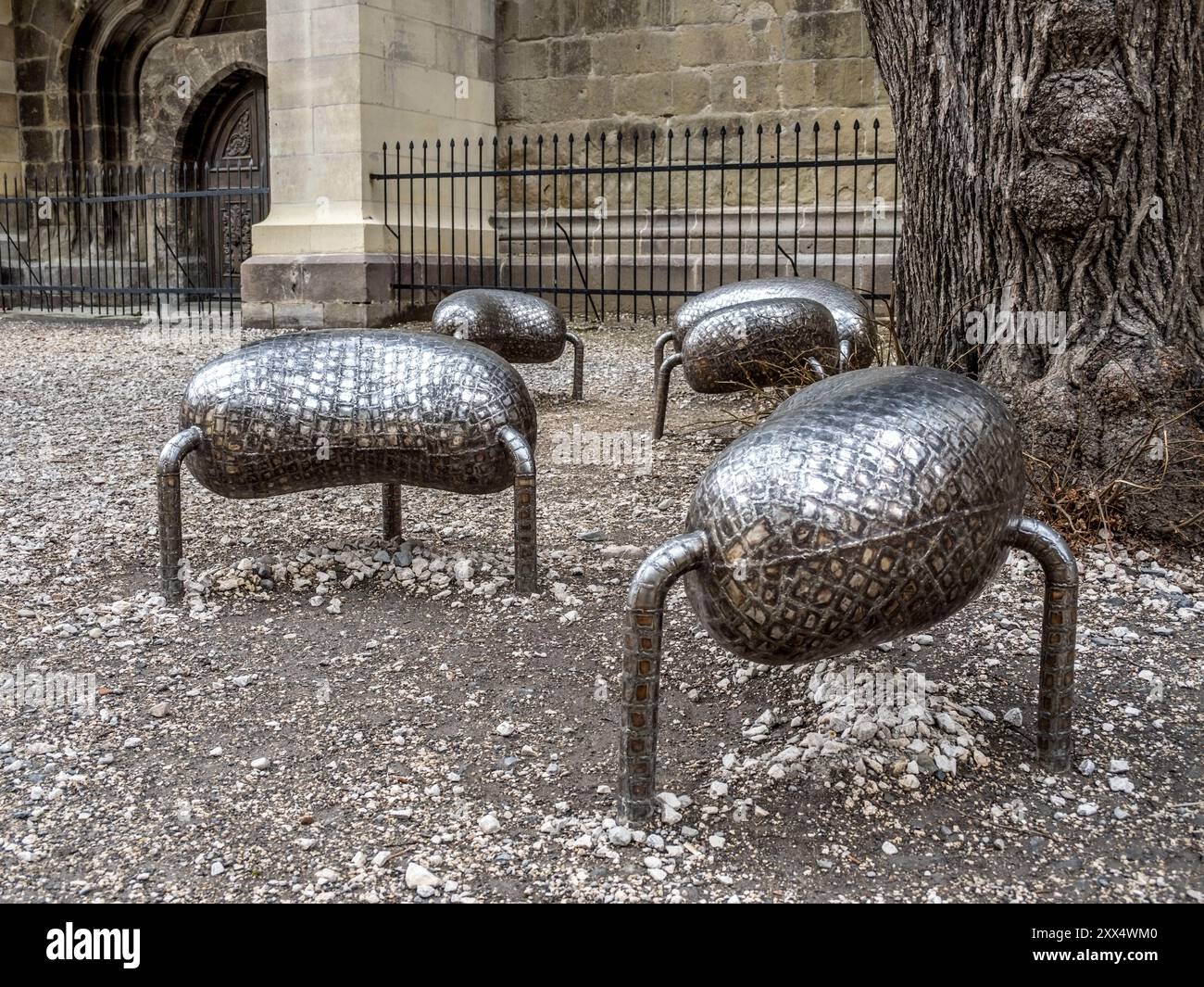Des sièges Silver inhabituels ? Devant l'église noire de Brasov, Roumanie. Banque D'Images