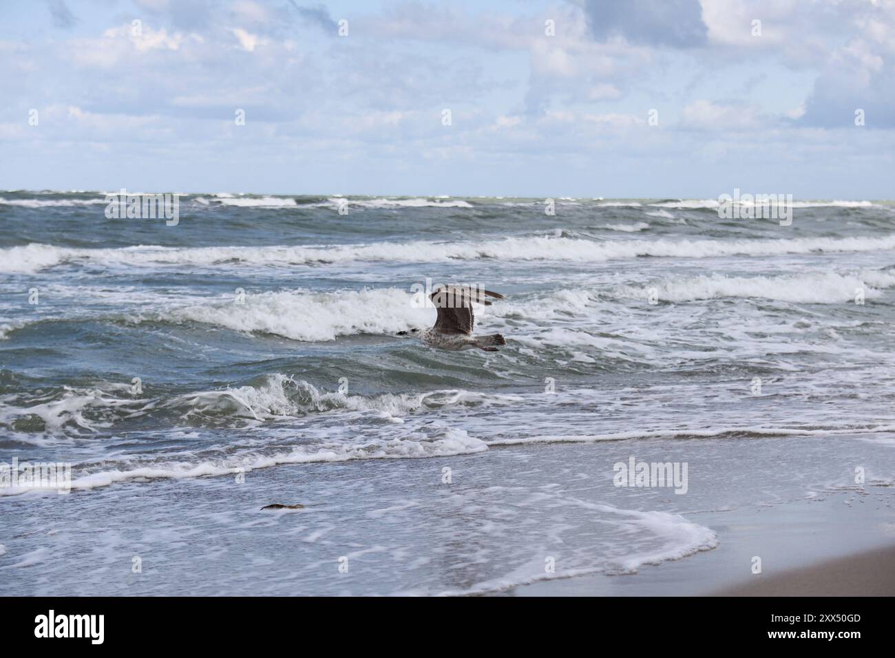 Die wilde Ostsee Banque D'Images