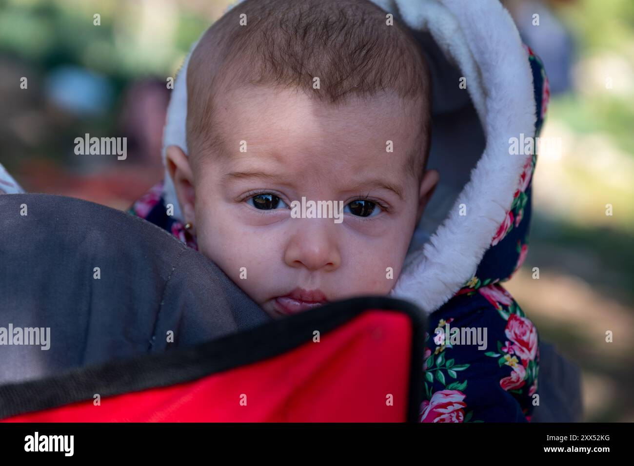 Mère et bébé appréciant leur temps ensemble sur un pique-nique au milieu de champs verdoyants, créant de beaux souvenirs Banque D'Images