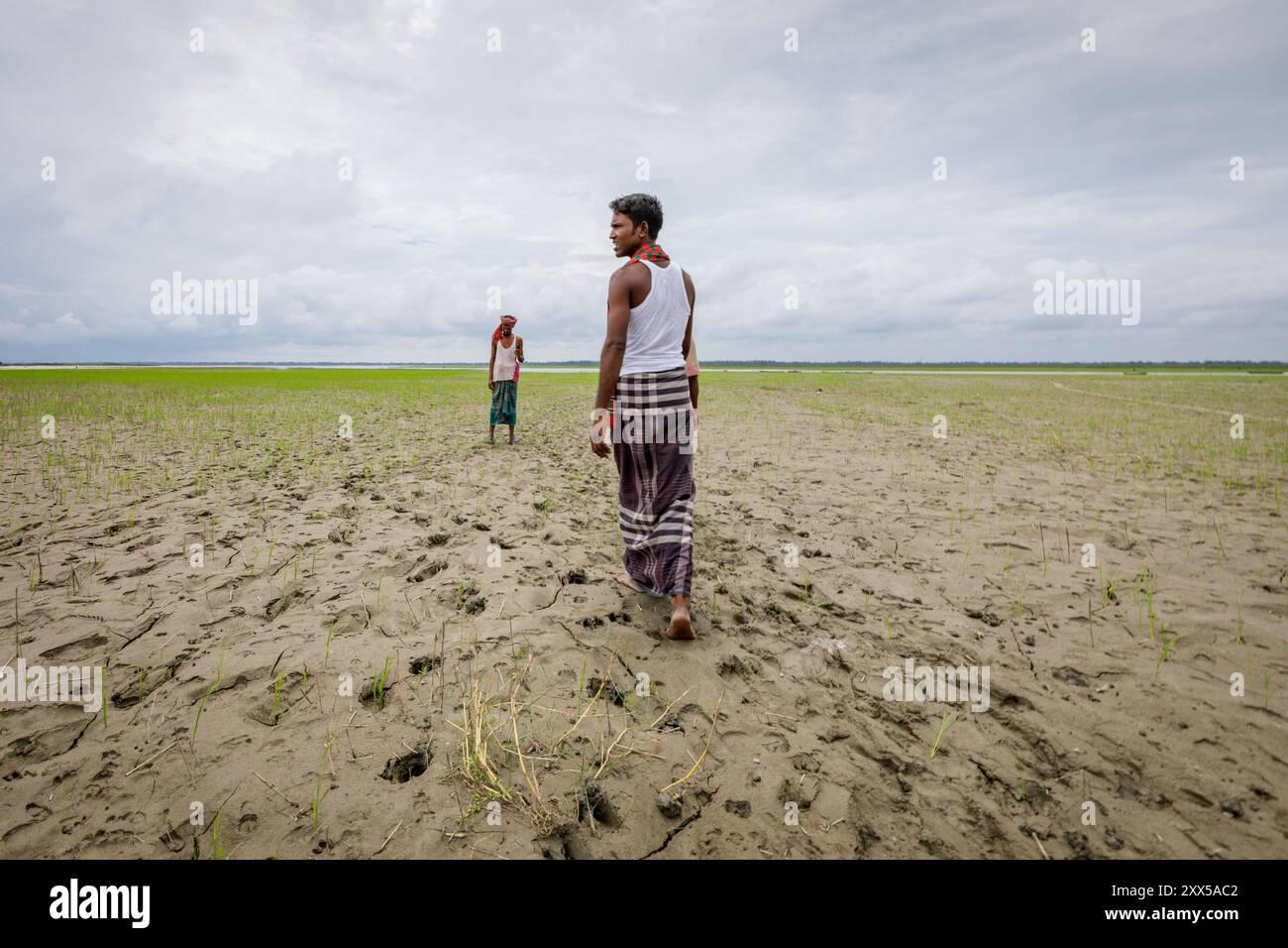 Rashed et les autres agriculteurs se tiennent dans ce qui était autrefois un champ plein de cultures. Les récentes inondations ont tout emporté. Maintenant, ils ont planté du riz sur le limon dans l'espoir d'en récupérer au moins une partie. Des graines de chia et des cacahuètes avaient été plantées ici. Tout a été détruit dans l'inondation. Maintenant, les villageois ont dispersé des graines de paddy. Il pousse sans engrais ni irrigation. Comme ce sol est enrichi par les eaux de crue, il n'a pas besoin d'engrais. S'ils ont de la pluie (comme ils le devraient pendant cette saison), alors aucune eau supplémentaire ne sera nécessaire. Cependant, si elle inonde, ou si le sol dr Banque D'Images