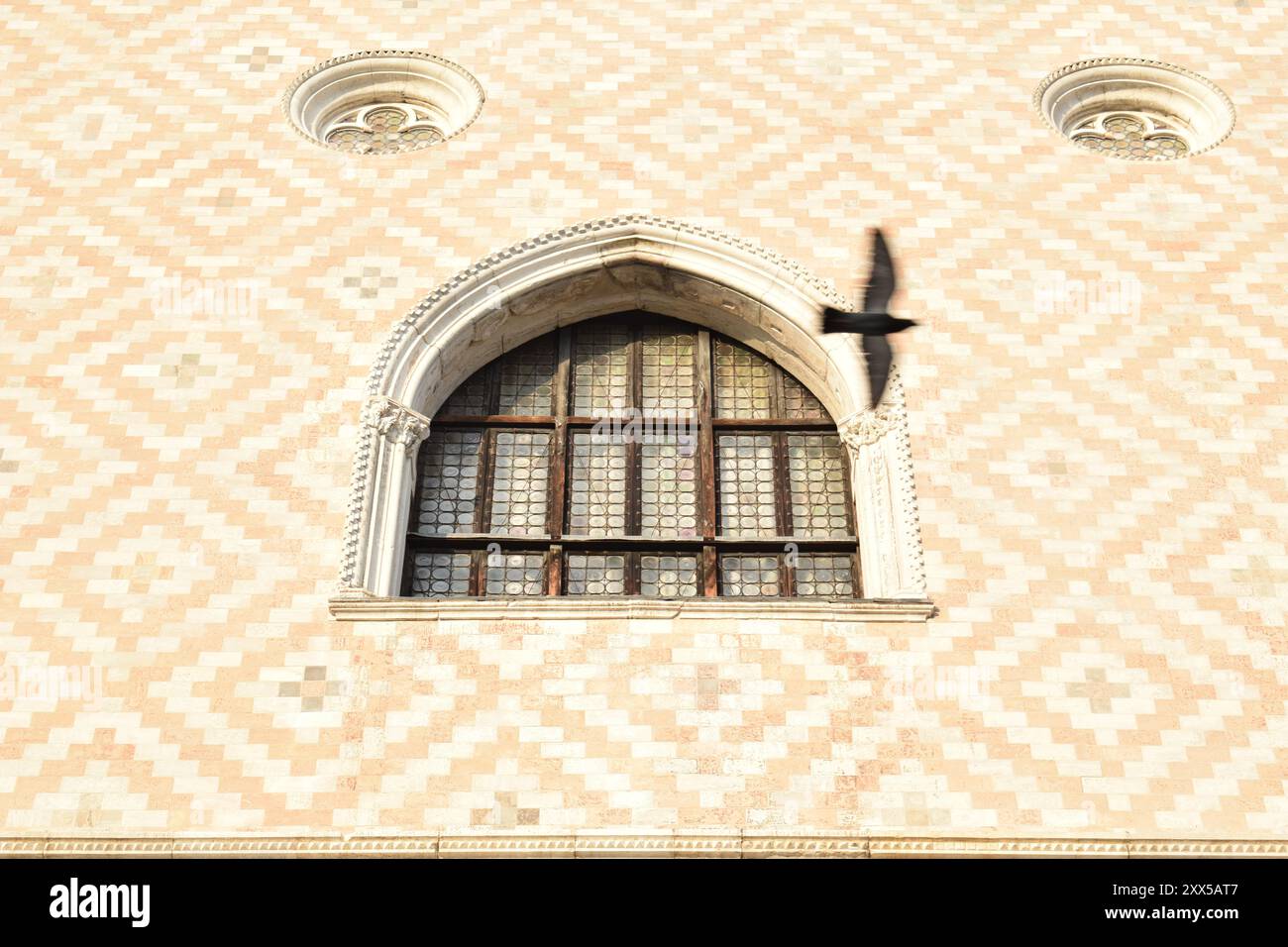 Détail de la façade du Palais des Doges à Venise, Italie, avec des fenêtres gothiques et un pigeon volant flou. Banque D'Images