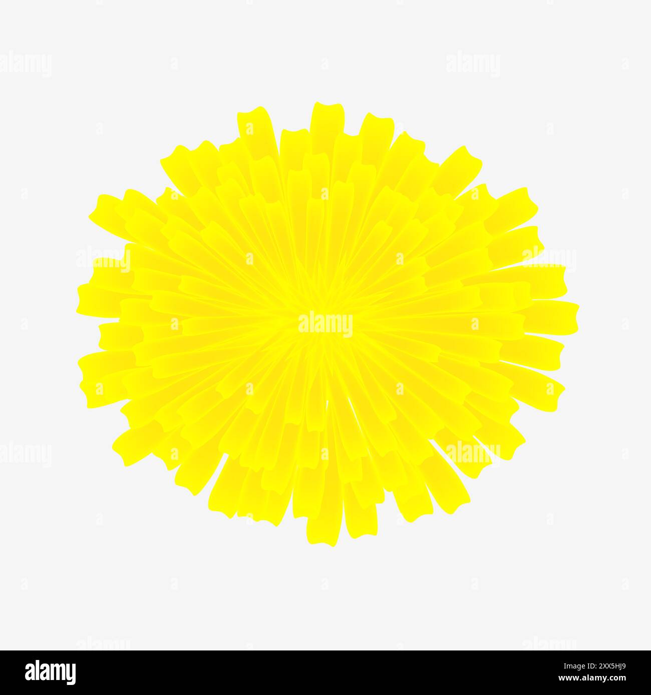 Une fleur jaune de pissenlit isolé sur fond blanc. Illustration de Vecteur