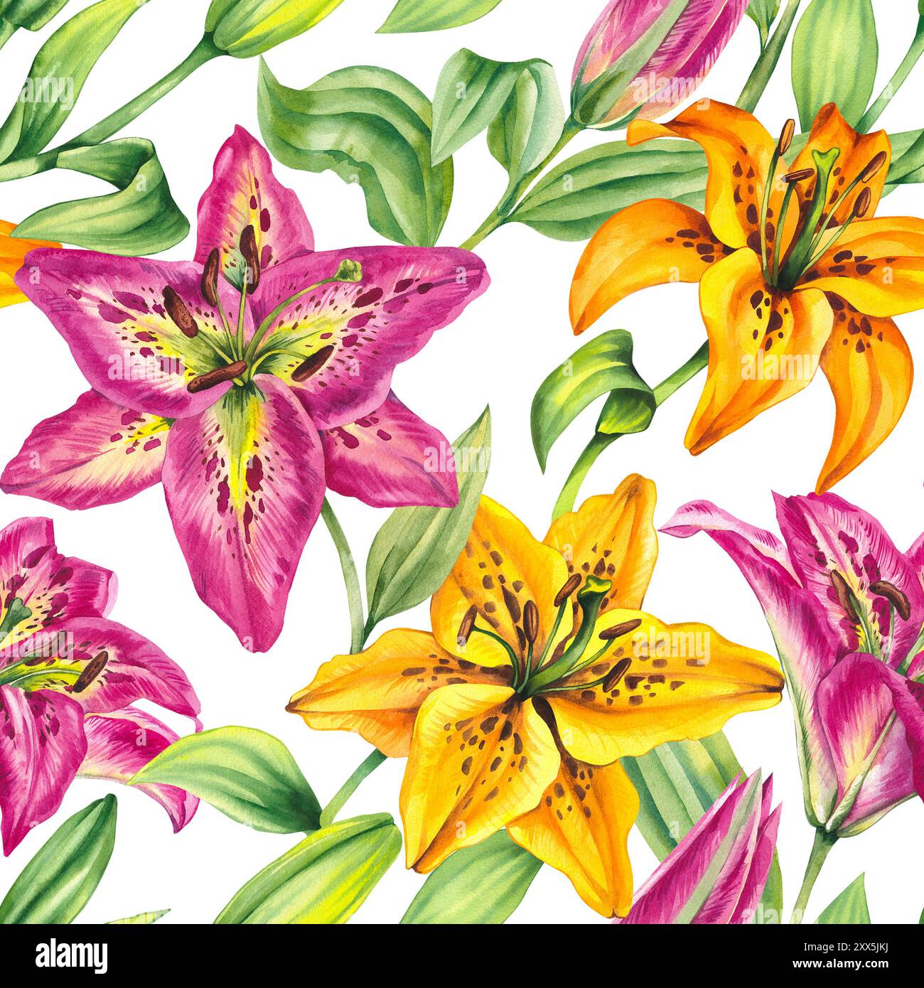 Motif de lis à l'aquarelle. Aquarelle couleur fleur de lis. Motif botanique de fleur de lys. Motif de lis de fleurs avec des éléments dessinés à la main pour le desi Banque D'Images