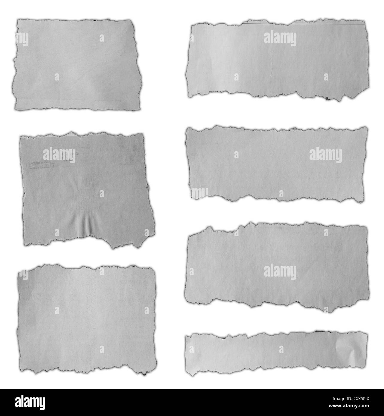 Sept morceaux de papier déchiré sur fond blanc Banque D'Images