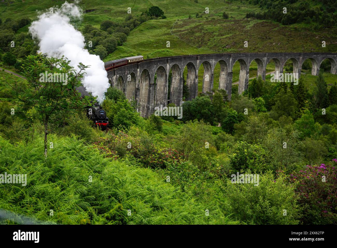 Glenfinnan-Viadukt : Berühmtes Bauwerk. - Der Touristensonderzug The Jacobite mit Dampflokomotive überquert den beeindruckenden, 380 m langen Glenfinna Banque D'Images