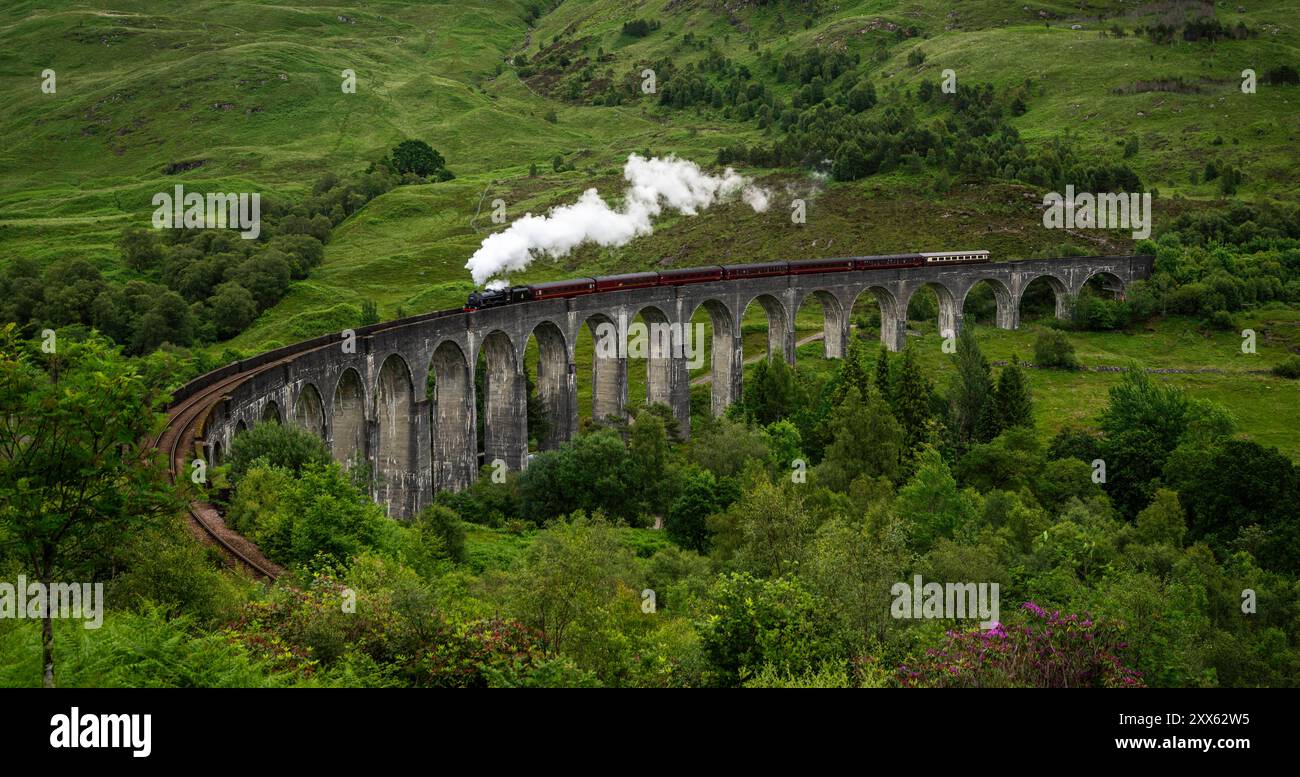 Glenfinnan-Viadukt : Berühmtes Bauwerk. - Der Touristensonderzug The Jacobite mit Dampflokomotive überquert den beeindruckenden, 380 m langen Glenfinna Banque D'Images