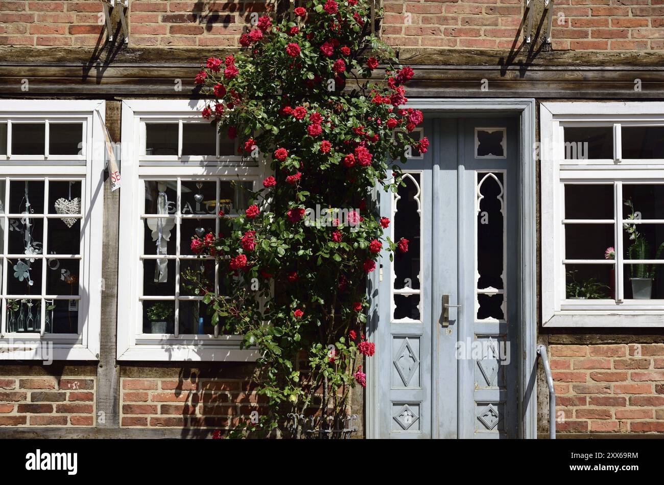 Europe, Allemagne, Mecklembourg-Poméranie occidentale, Buetzow, maison à colombages avec des hollyhocks, belle porte d'entrée, Buetzow, Mecklembourg-po occidentale Banque D'Images