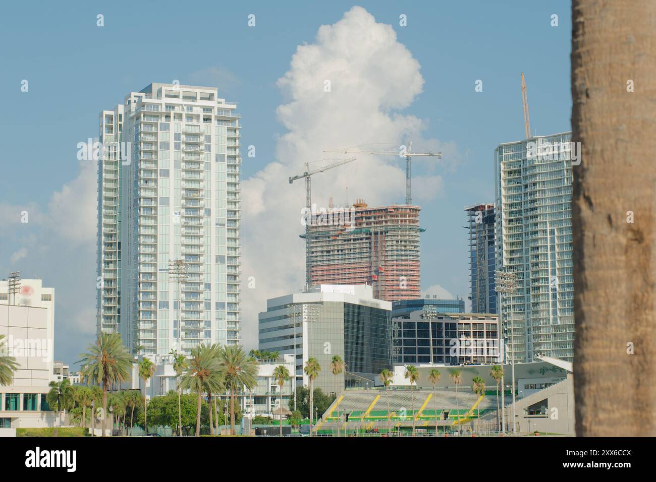 Plan large regardant vers le nord de Demens Landing Park au-dessus de l'eau bleu vif à caractérisée Petersburg, Florida Cityscape . Ciel bleu et blanc lumineux. Arbres verts Banque D'Images