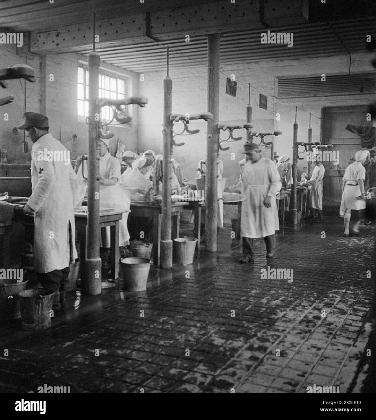 Au camp de concentration de Bergen-Belsen, 60 tables ont été installées pour laver et assouvir les survivants malades. Chacun était composé de deux médecins et de deux infirmières (toutes allemandes). La photo est datée du 1er mai 1945, deux semaines après la libération du camp. La position du camp dans l'ouest de l'Allemagne signifiait que des milliers de personnes y furent envoyées alors que l'est tombait. 18000 personnes sont mortes rien qu'en mars 1945, et 10000 dans les deux semaines qui ont suivi la libération. Ils sont morts de maladie et de négligence plutôt que des abus systématiques observés ailleurs. Banque D'Images