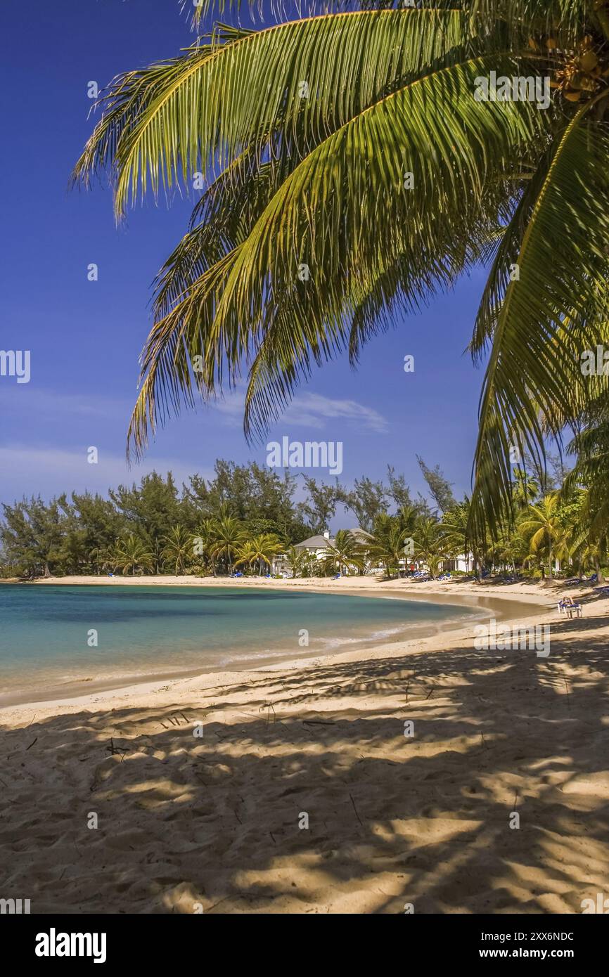 Half Moon Bay Beach en Jamaïque Banque D'Images