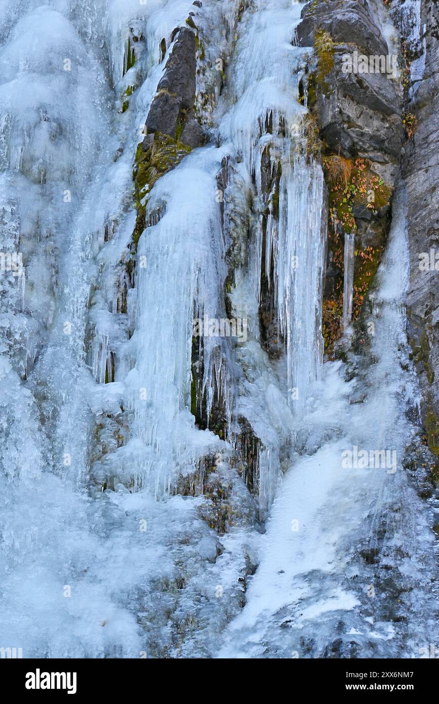 Paysages, lieux, faune et flore sur la Carretera Austral en Patagonie chilienne Banque D'Images