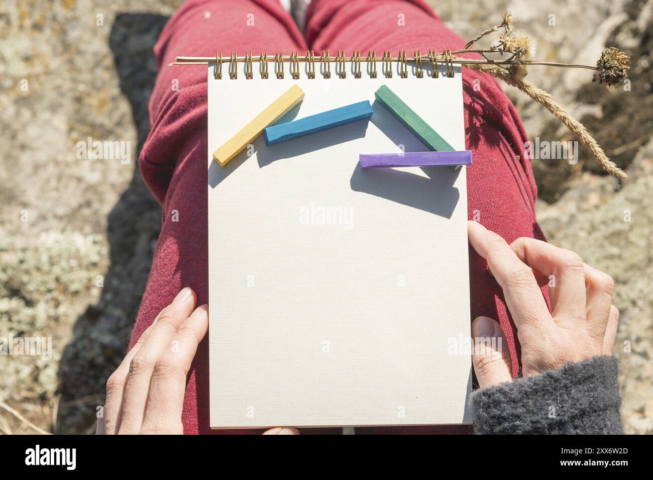 Vue de la première personne sur les genoux de la femme est un cahier avec des craies pour dessiner des pastels. Mains féminines tenant un cahier dans la nature Banque D'Images