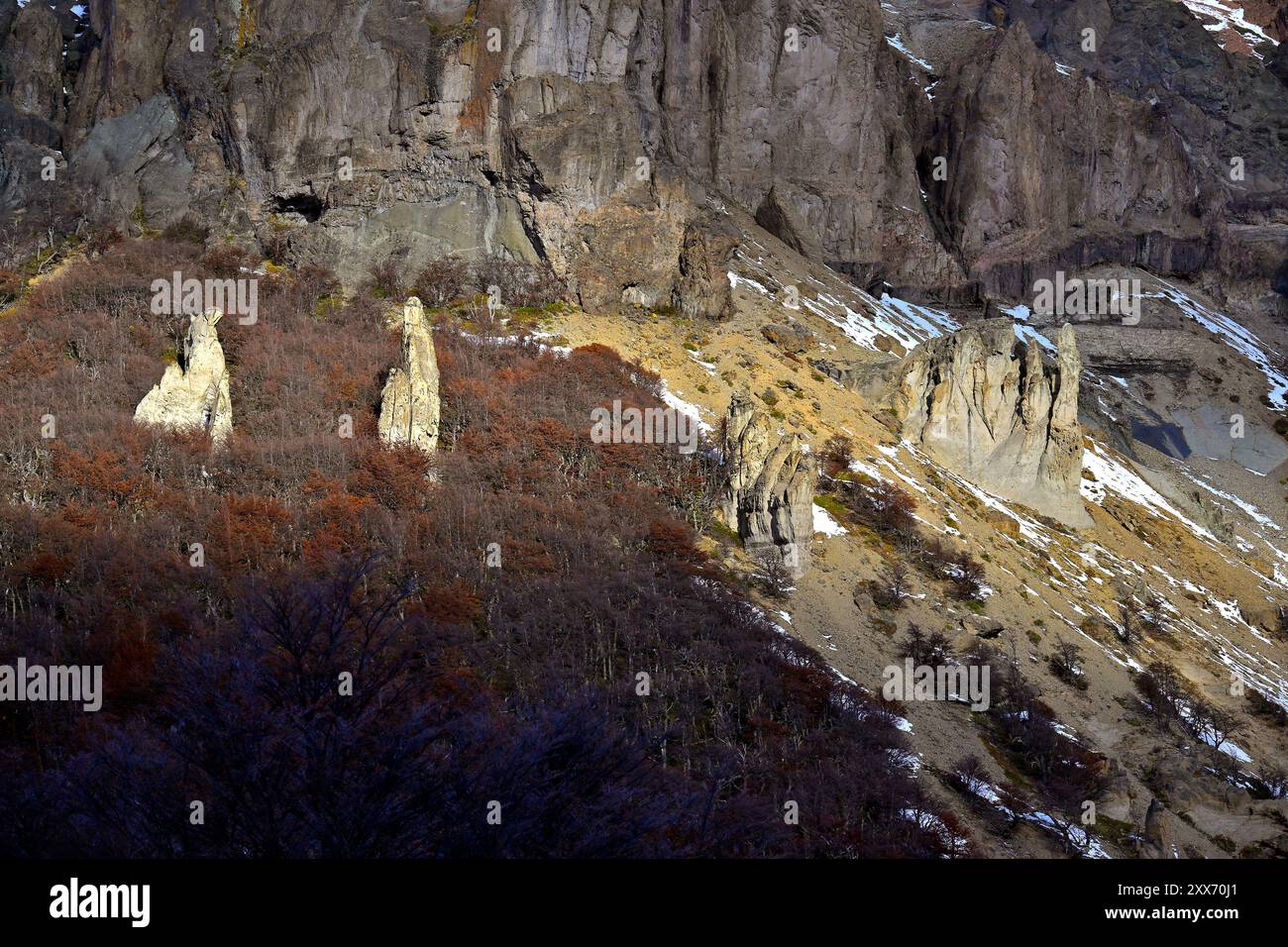 Paysages, lieux, faune et flore sur la Carretera Austral en Patagonie chilienne Banque D'Images