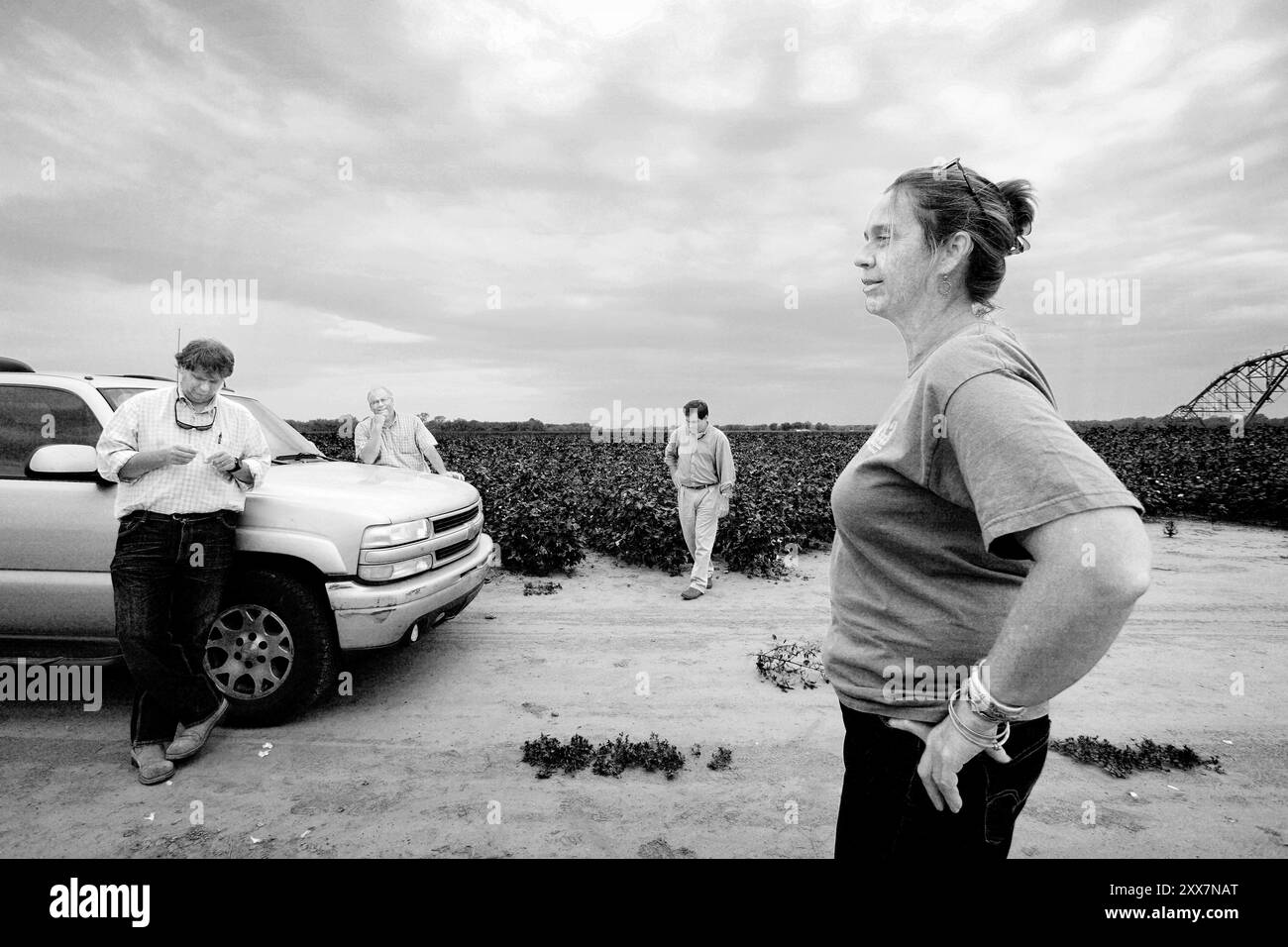 Shonda Warner titulaire kortene tett til brystet når Hun drar på befaring på et stykke jordbruksland som Gwin S. Smith og Stephen Rainer har lyst til å selge. Smith og Rainer jobber pour meglerfirmaet Ruthledge Investment Company. Tilbakelent på bilen er Wade Harrison, Shondas kollega. Shonda Warner er Investor og fondeier, og har kjøpt opp en mengde Land i flere stater. Hun driver operasjonen fra hovedkvarteret i Clarksdale. Banque D'Images