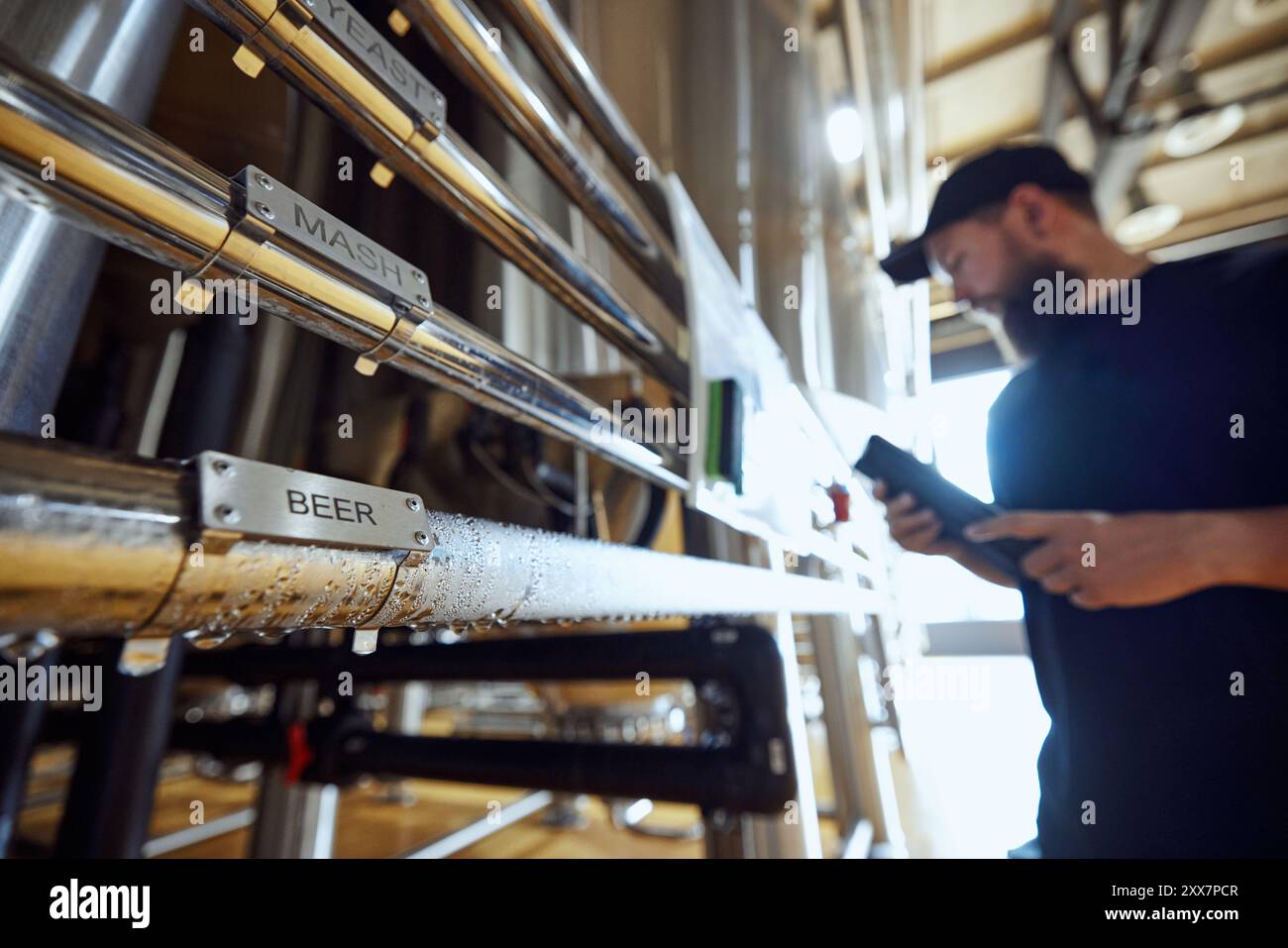 Homme, technologue examinant attentivement le système de brassage, vérifiant que chaque tuyau étiqueté s'aligne avec le plan de production, en maintenant un contrôle strict sur Banque D'Images