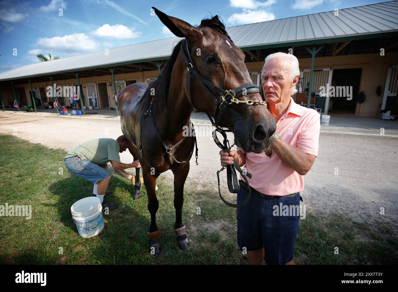 Norwegian Shipping héritier Jørgen Jahre Jr. consacre sa vie et sa fortune aux chevaux. Banque D'Images