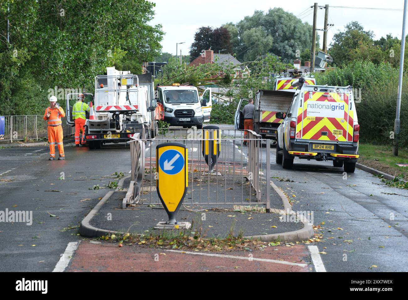 Hereford, Herefordshire, Royaume-Uni – vendredi 23 août 2024 – Météo britannique – des vents forts de la nuit de la tempête Lilian ont fait tomber un arbre de l’autre côté de la route à Aylestone Hill, Hereford – L’arbre est tombé sur plusieurs lignes électriques coupant l’alimentation des maisons et des entreprises voisines – photo prise à 09h15 alors que les équipes de déminage attendent que les travailleurs de l’électricité s’occupent des lignes électriques tendues - photo Steven May / Alamy Live News Banque D'Images