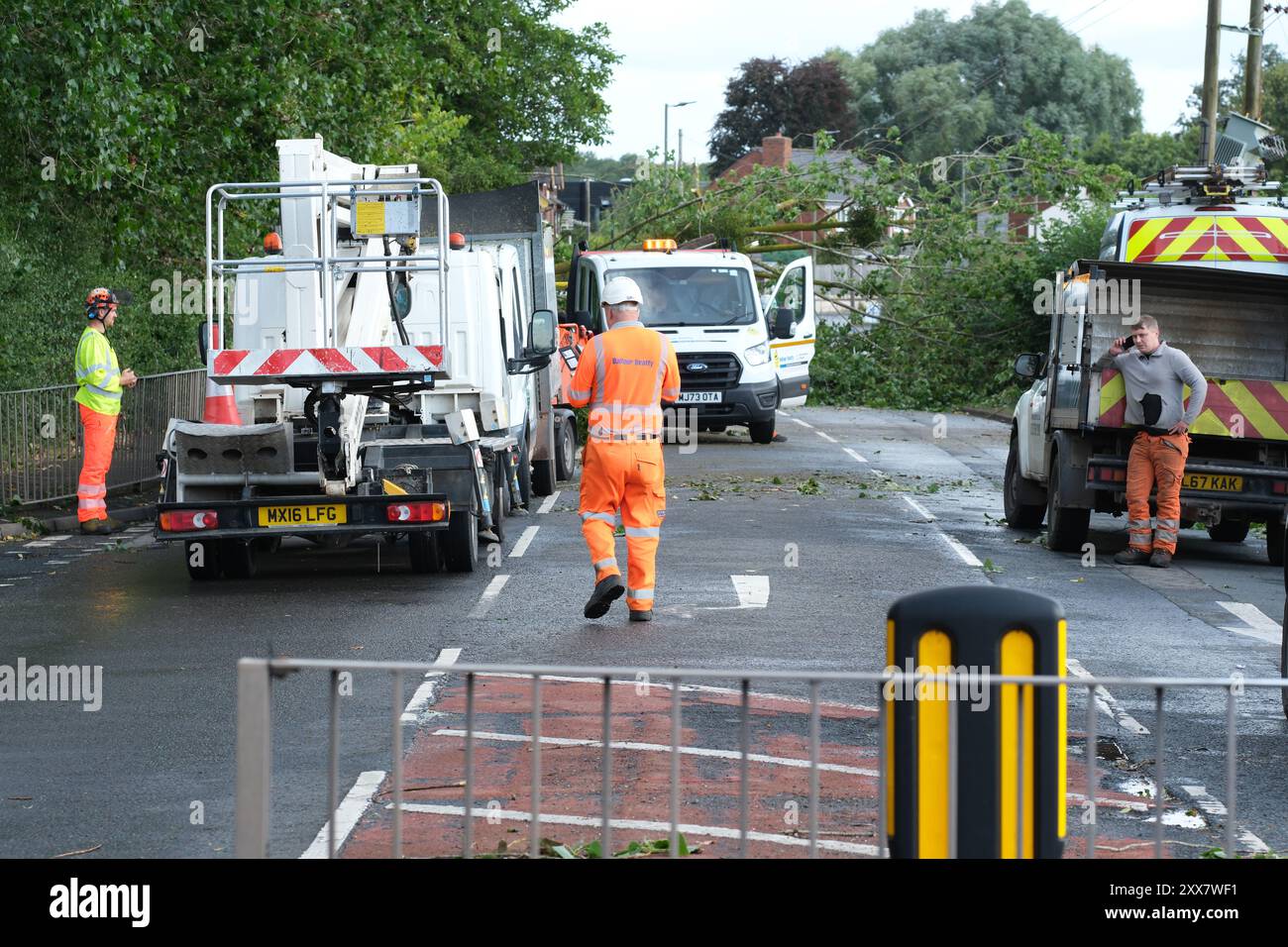Hereford, Herefordshire, Royaume-Uni – vendredi 23 août 2024 – Météo britannique – des vents forts de la nuit de la tempête Lilian ont fait tomber un arbre de l’autre côté de la route à Aylestone Hill, Hereford – L’arbre est tombé sur plusieurs lignes électriques coupant l’alimentation des maisons et des entreprises voisines – photo prise à 09h15 alors que les équipes de déminage attendent que les travailleurs de l’électricité s’occupent des lignes électriques tendues - photo Steven May / Alamy Live News Banque D'Images
