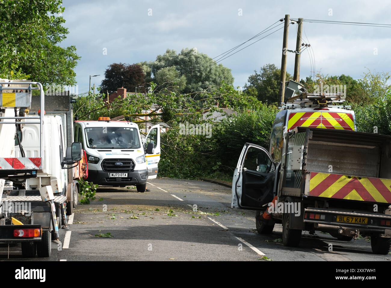 Hereford, Herefordshire, Royaume-Uni – vendredi 23 août 2024 – Météo britannique – des vents forts de la nuit de la tempête Lilian ont fait tomber un arbre de l’autre côté de la route à Aylestone Hill, Hereford – L’arbre est tombé sur plusieurs lignes électriques coupant l’alimentation des maisons et des entreprises voisines – photo prise à 09h15 alors que les équipes de déminage attendent que les travailleurs de l’électricité s’occupent des lignes électriques tendues - photo Steven May / Alamy Live News Banque D'Images