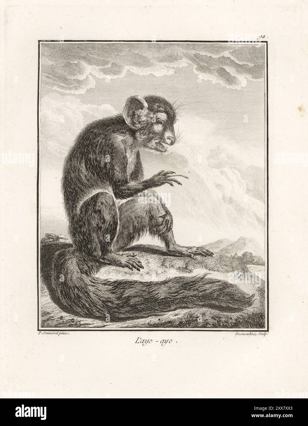 Aye-aye, Daubentonia madagascariensis. Espèces menacées de lémuriens originaires de Madagascar. L'aye-aye. Gravure sur cuivre de Desmoulins d'après une illustration de Pierre Sonnerat tirée de son voyage aux Indes orientales et à la Chine (voyage aux Indes orientales et en Chine, Dentu, Paris, 1806). Banque D'Images