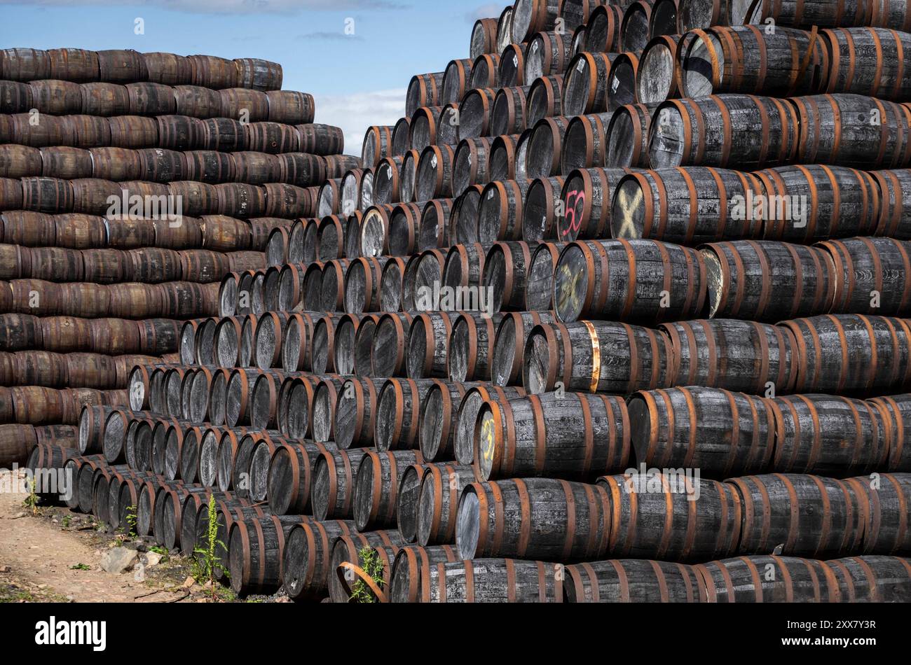 Whisky : Fässer aus Speyside. - Hoch gestapelt sind die Whiskyfässer auf dem Gelände der Speyside Cooperage in Craigellachie Whysky-Region Speyside. Da Banque D'Images