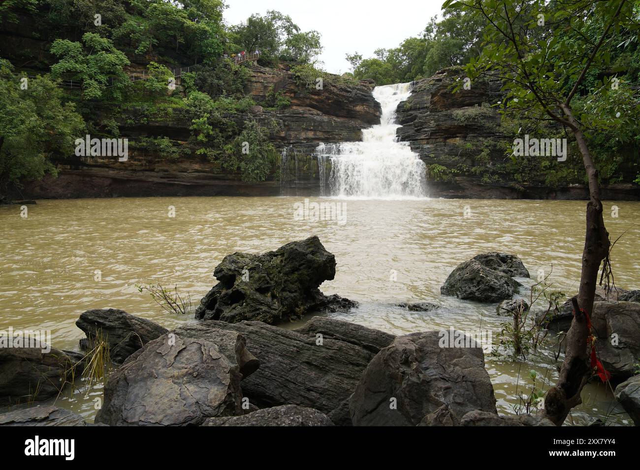 Les chutes de Pandav, nichées dans le parc national de Panna dans le district indien de Panna du Madhya Pradesh, sont une cascade sereine et pérenne alimentée par un affluent de t Banque D'Images