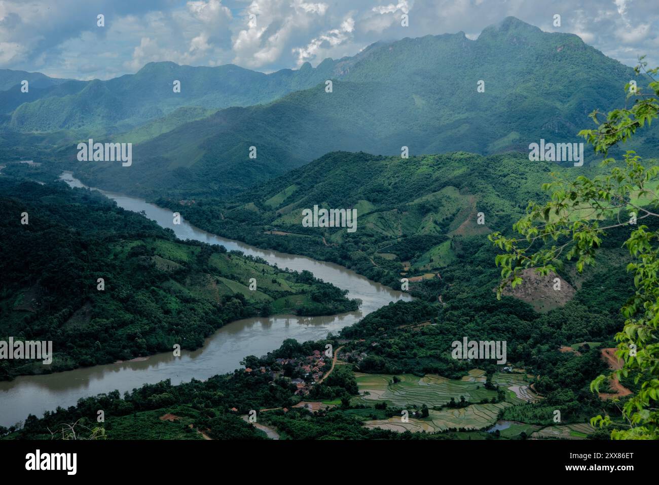 Rizières le long de la rivière Nam ou, Nong Khiaw, Laos Banque D'Images