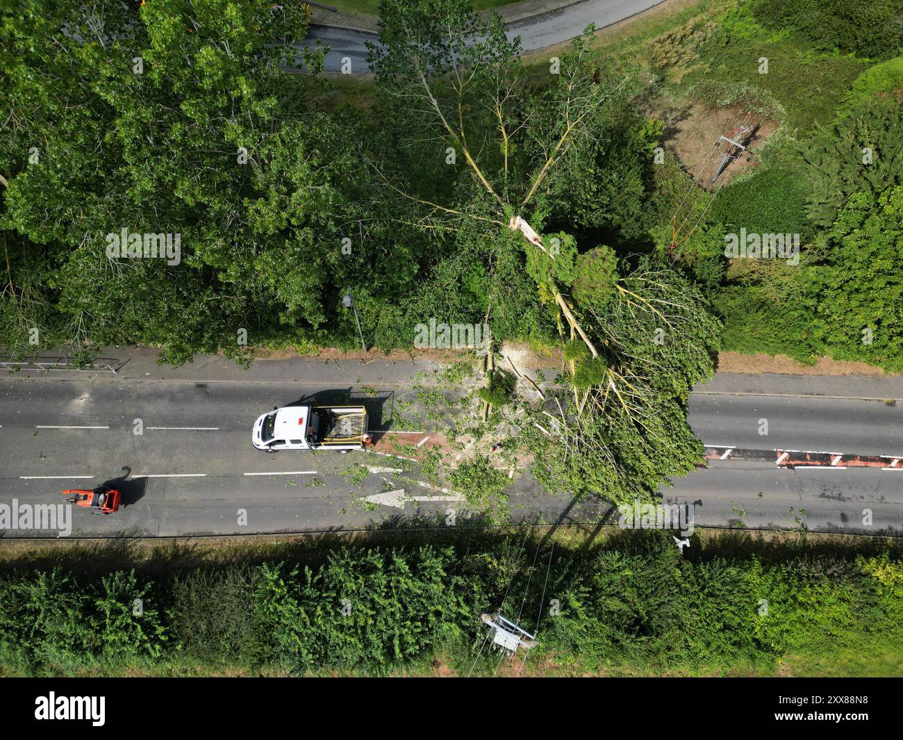 Hereford, Herefordshire, Royaume-Uni – vendredi 23 août 2024 – Météo britannique – vue aérienne d’un drone – la nuit, de forts vents de la tempête Lilian ont abattu un arbre sur la route A465 le long d’Aylestone Hill, dans la ville de Hereford – L’arbre est tombé sur plusieurs lignes électriques coupant l’alimentation des maisons et des entreprises voisines – photo Steven May / Alamy Live News Banque D'Images