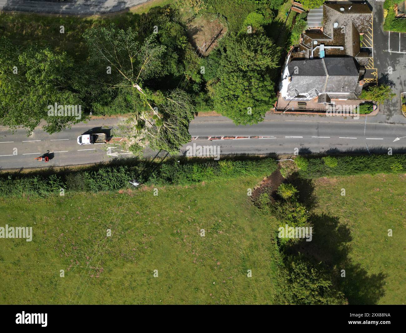Hereford, Herefordshire, Royaume-Uni – vendredi 23 août 2024 – Météo britannique – vue aérienne d’un drone – la nuit, de forts vents de la tempête Lilian ont abattu un arbre sur la route A465 le long d’Aylestone Hill, dans la ville de Hereford – L’arbre est tombé sur plusieurs lignes électriques coupant l’alimentation des maisons et des entreprises voisines – photo Steven May / Alamy Live News Banque D'Images