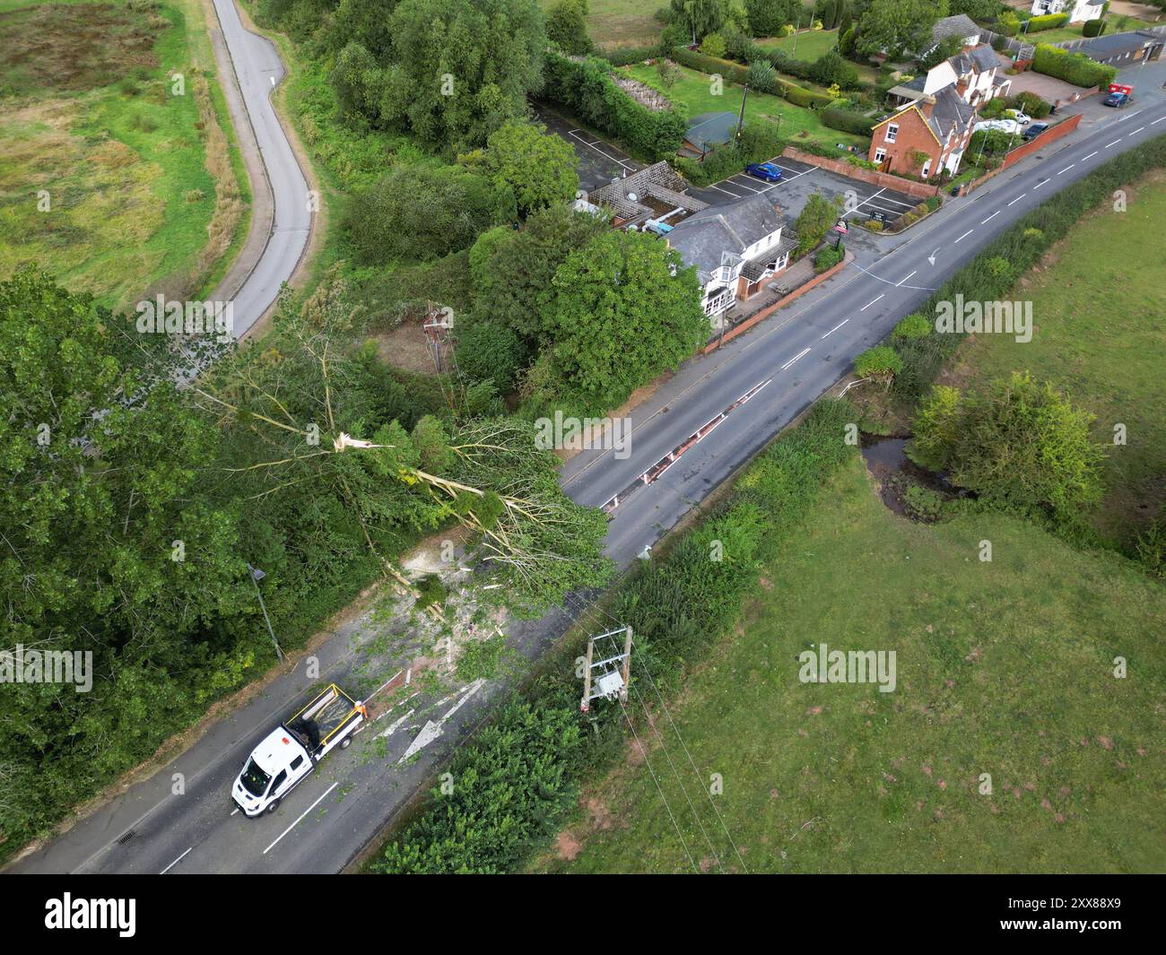 Hereford, Herefordshire, Royaume-Uni – vendredi 23 août 2024 – Météo britannique – vue aérienne d’un drone – la nuit, de forts vents de la tempête Lilian ont abattu un arbre sur la route A465 le long d’Aylestone Hill, dans la ville de Hereford – L’arbre est tombé sur plusieurs lignes électriques coupant l’alimentation des maisons et des entreprises voisines – photo Steven May / Alamy Live News Banque D'Images