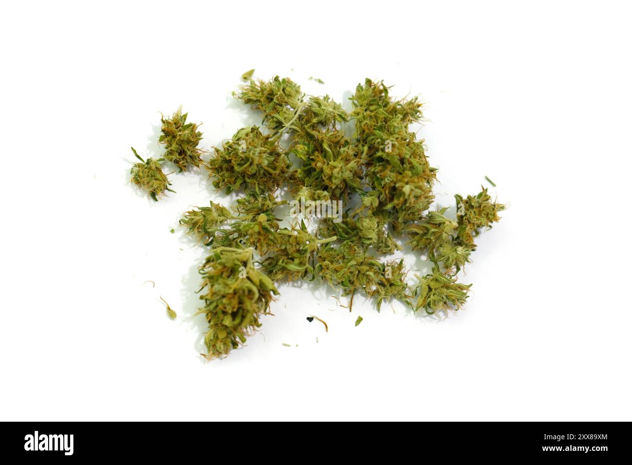 Boutons de marijuana en gros plan. Cannabis CBD médicinal, floraison séchée repose sur fond blanc. Loisirs de mauvaises herbes, vue de dessus, pose à plat. Banque D'Images