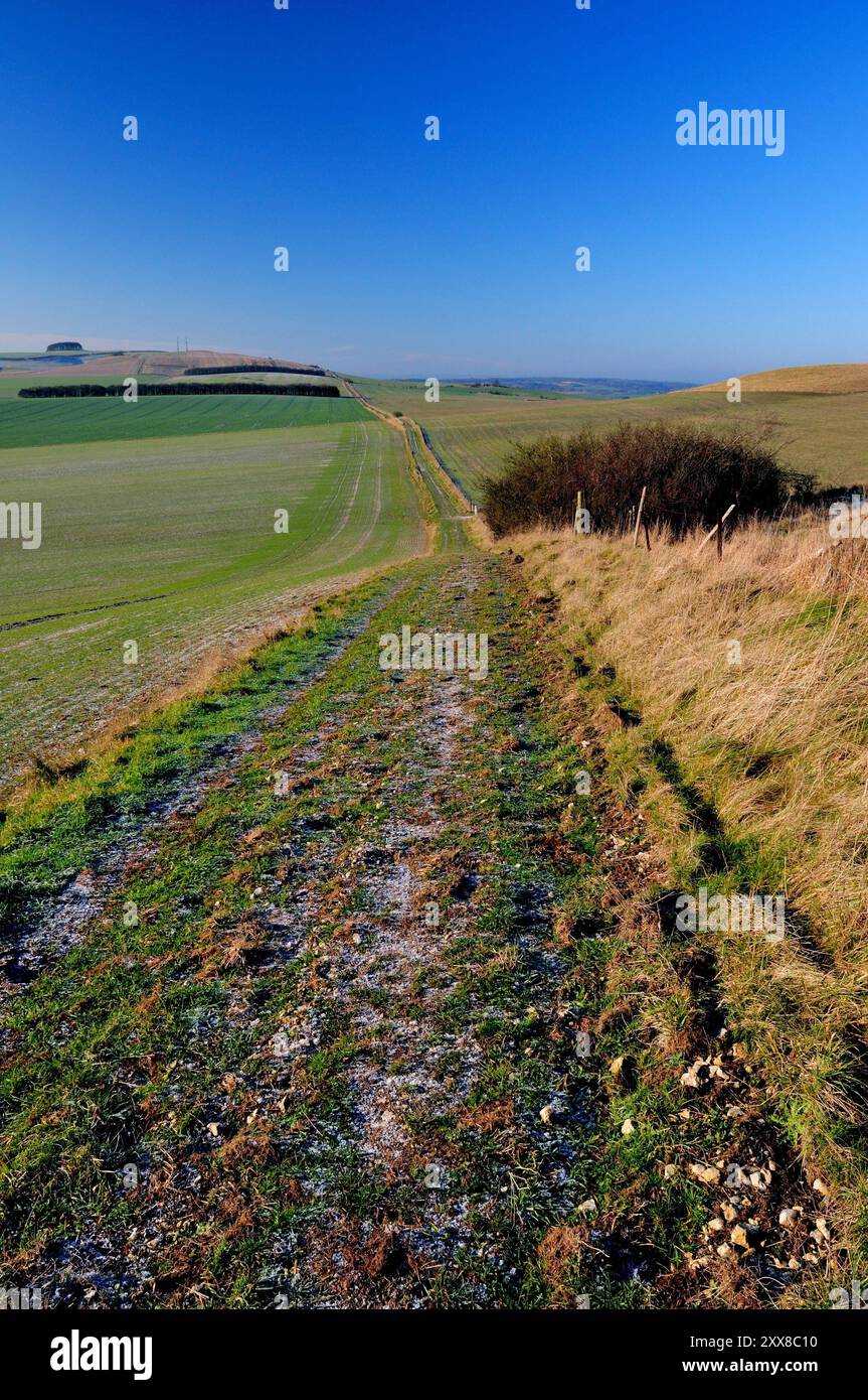 Un matin glacial le long de la route d'une ancienne voie romaine, en direction de l'ouest vers Morgan's Hill sur les Wiltshire Downs. Banque D'Images