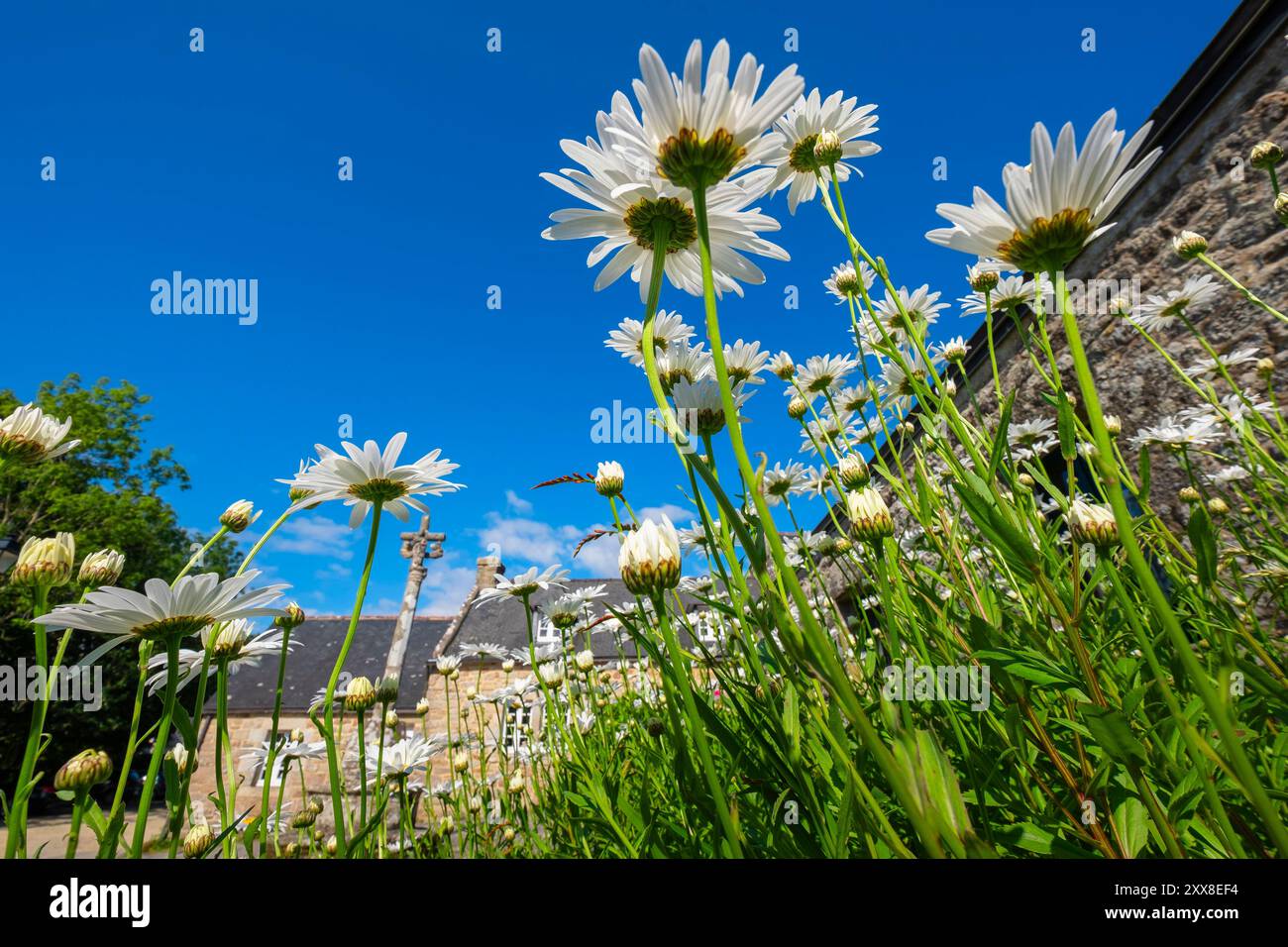 France, Finistère, Locronan, labellisé les plus Beaux villages de France (les plus beaux villages de France) Banque D'Images