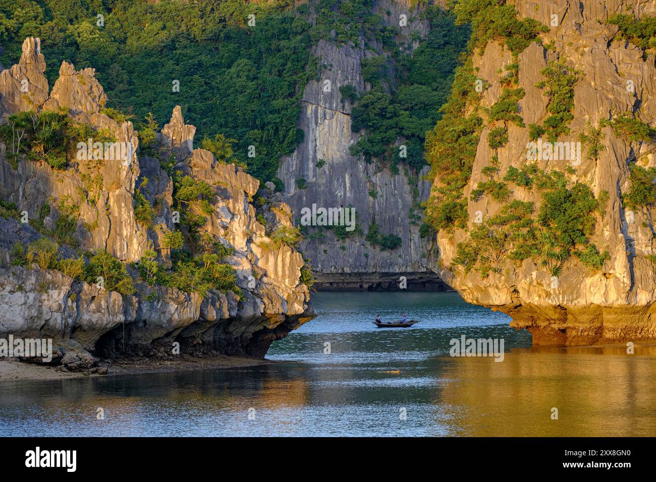 Vietnam, baie d'Ha long site classé au patrimoine mondial de l'UNESCO, les roches karstiques Banque D'Images