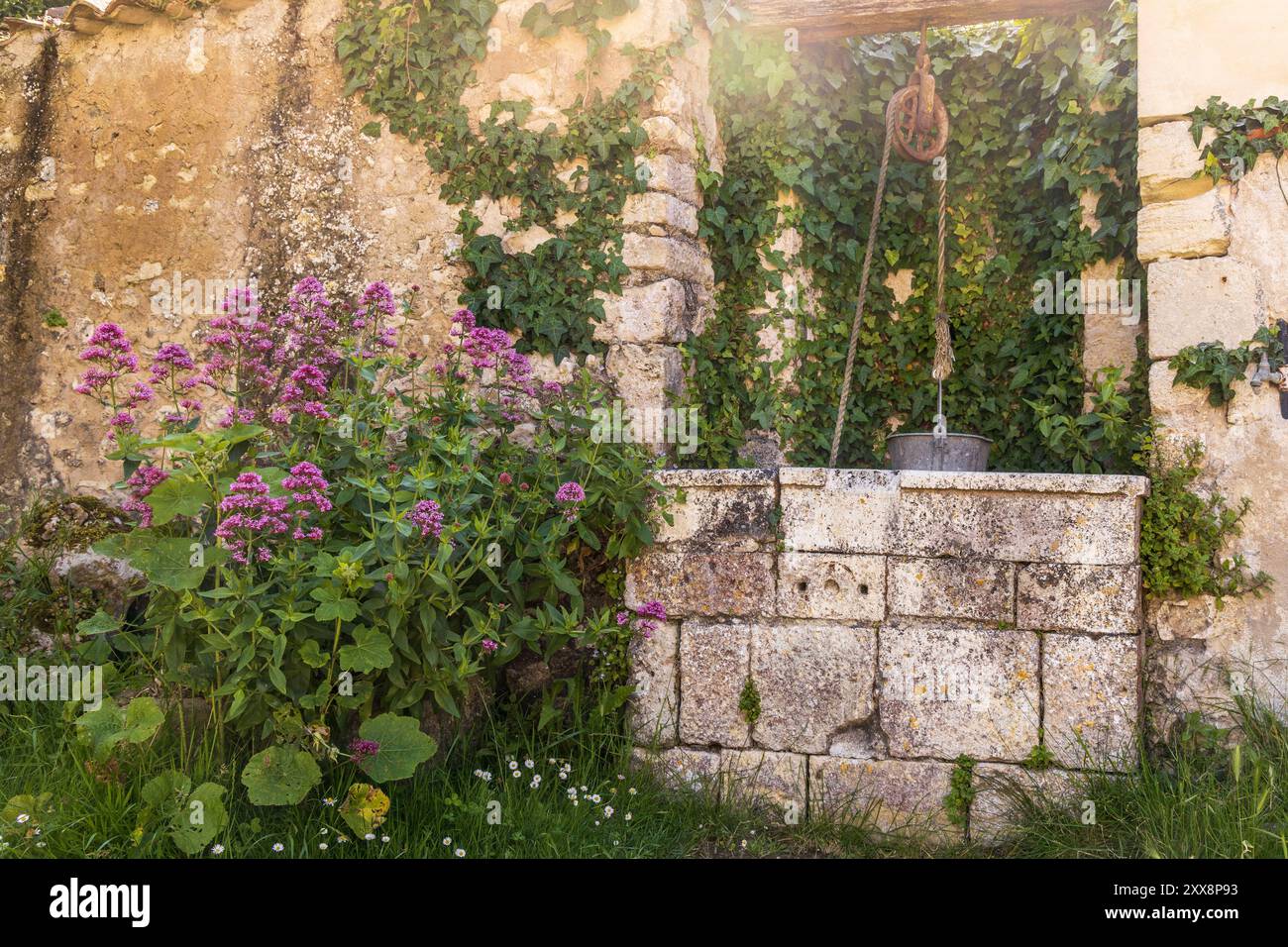 France, Charente-maritime, Talmont-sur-Gironde, labellisés les plus beaux villages de France, bien dans une ruelle Banque D'Images