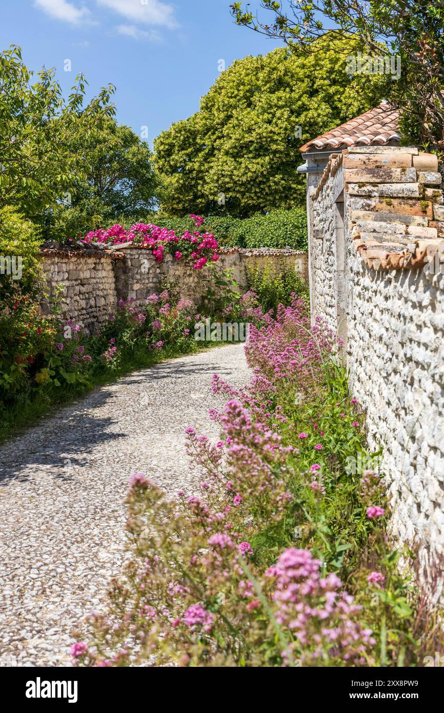 France, Charente-maritime, Talmont-sur-Gironde, labellisés les plus beaux villages de France, ruelle fleurie du village Banque D'Images