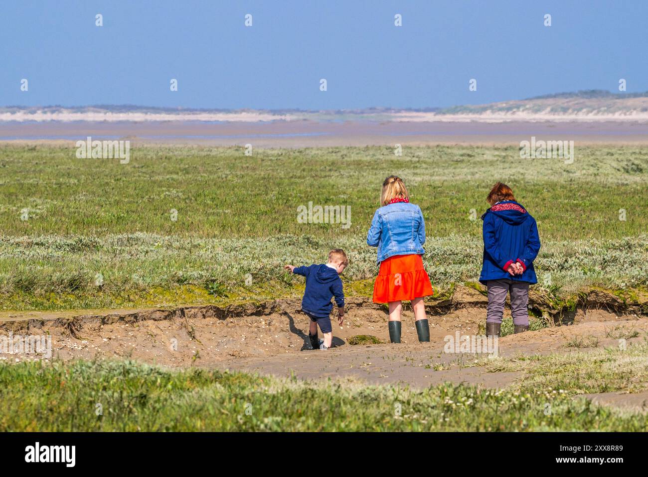 France, somme, Baie de somme, le Crotoy, réserve naturelle de la Baie de somme, plages de la Maye, touristes en bord de mer Banque D'Images