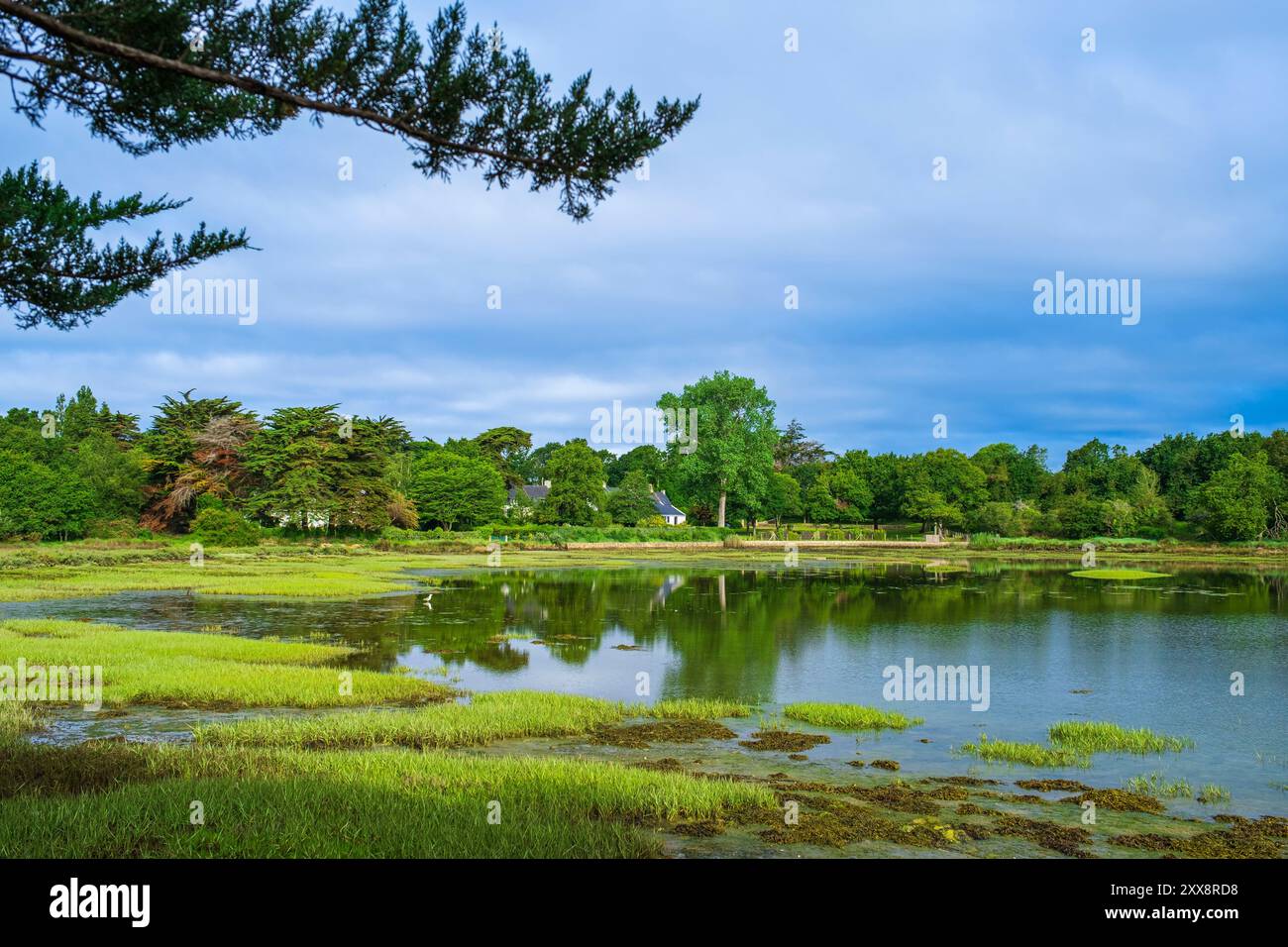 France, Morbihan, Golfe du Morbihan, Saint-Gildas-de-Rhuys, paysage sur le sentier de randonnée GR 34 ou chemin des douaniers Banque D'Images