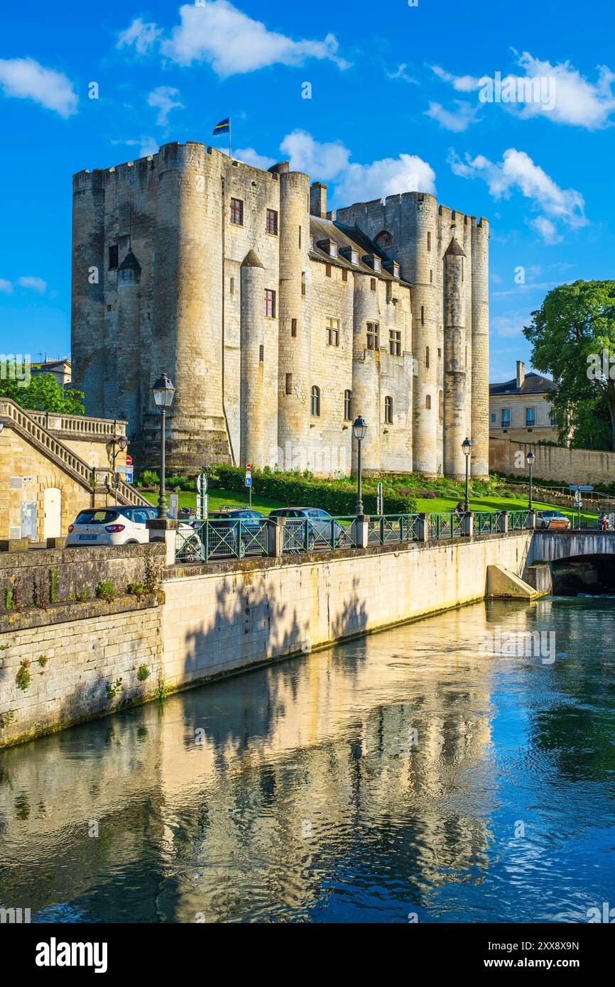 France, deux Sèvres, Marais Poitevin Parc interrégional labellisé Grand site de France, Niort, Donjon de Niort, seule partie restante du château fortifié par Henri II Plantagenêt et son fils Richard cœur de Lion sur les rives de la Sèvre Niortaise Banque D'Images