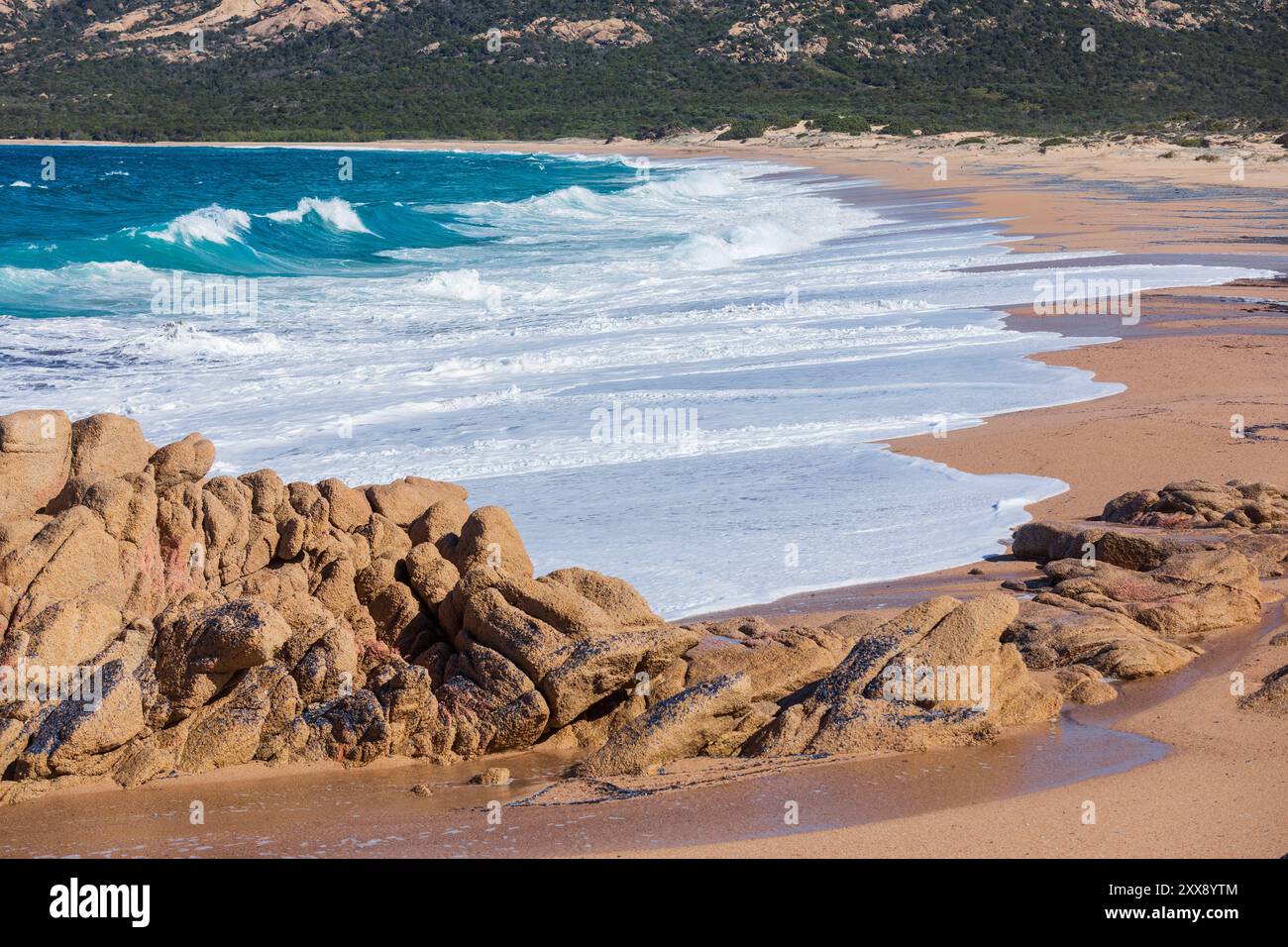 France, Corse du Sud, domaine de Murtoli, plage d'Erbaju Banque D'Images