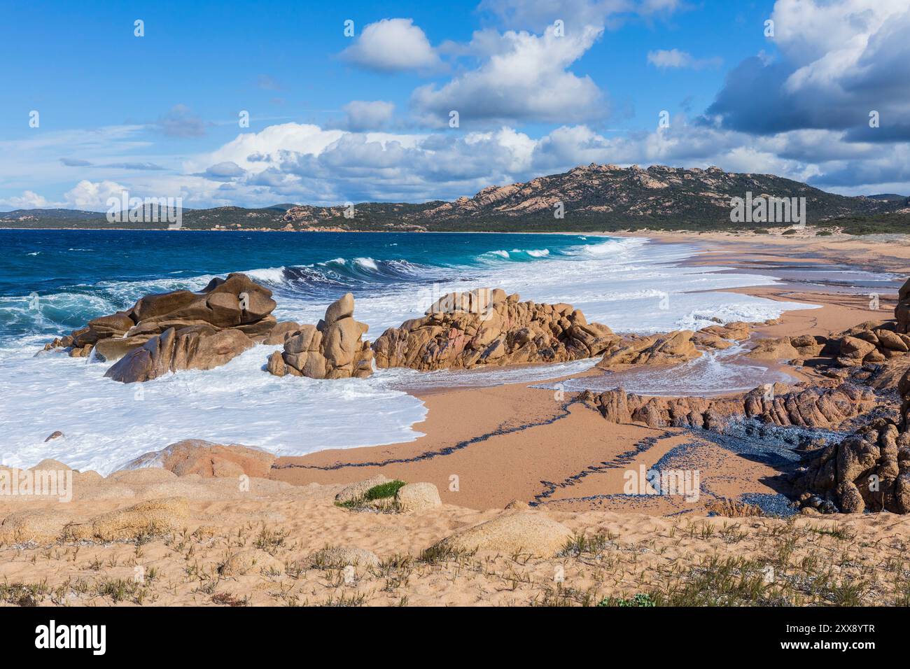 France, Corse du Sud, domaine de Murtoli, plage d'Erbaju Banque D'Images