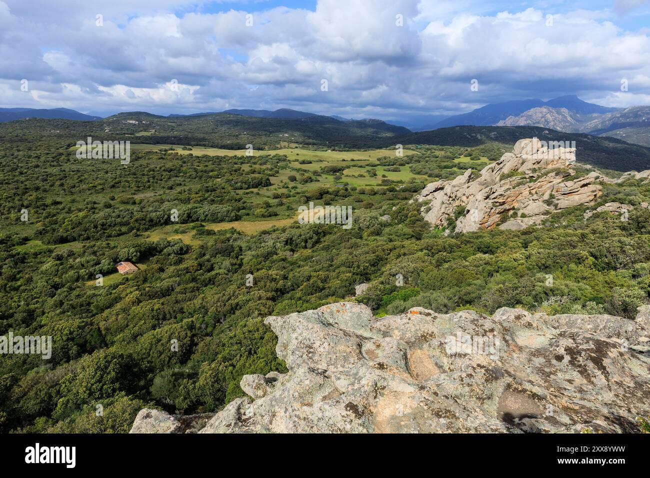 France, Corse du Sud, domaine de Murtoli, plateau de Cauria Banque D'Images