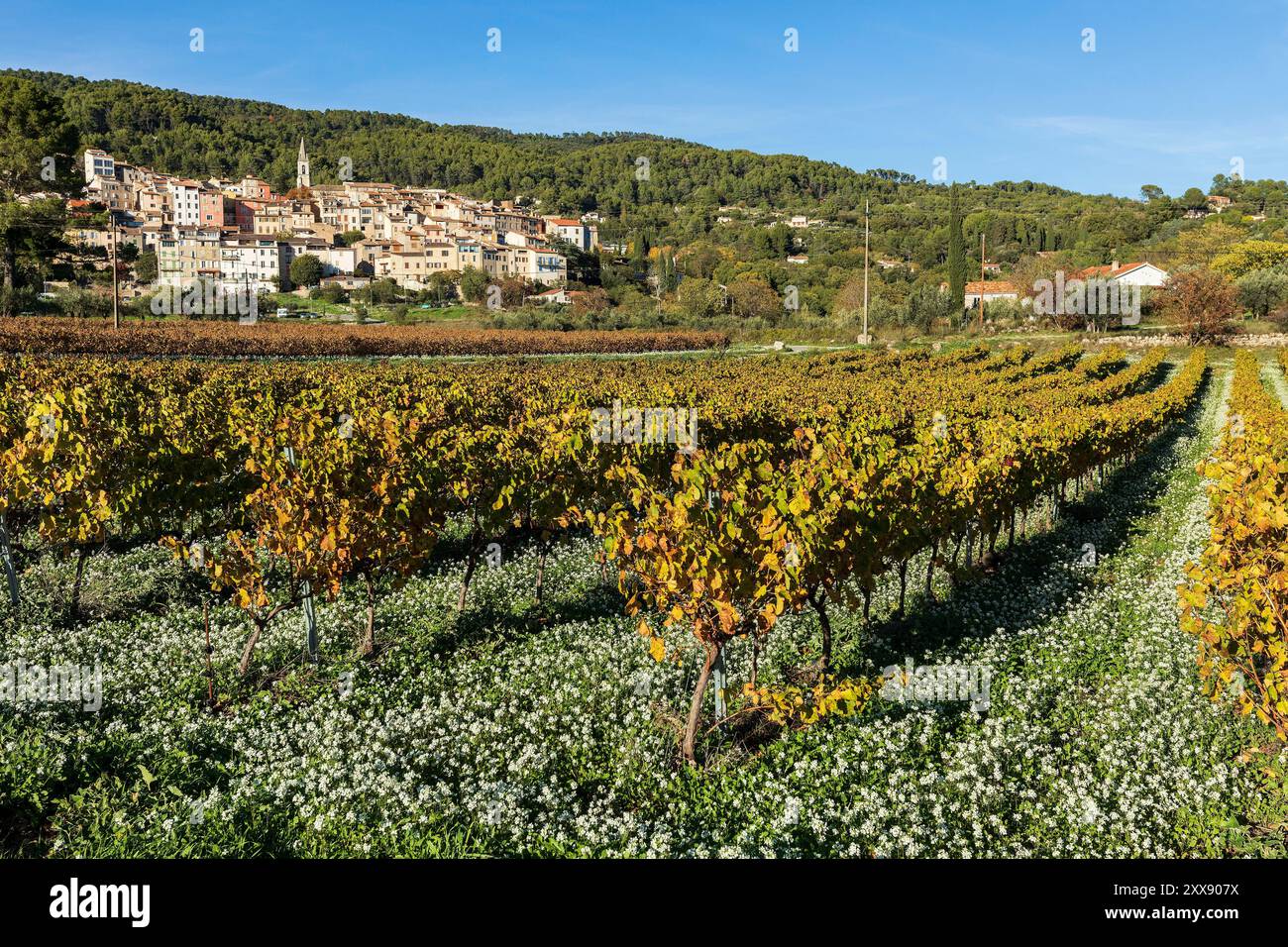 Vue sur le village, France, Var, Dracenie, Callas Banque D'Images