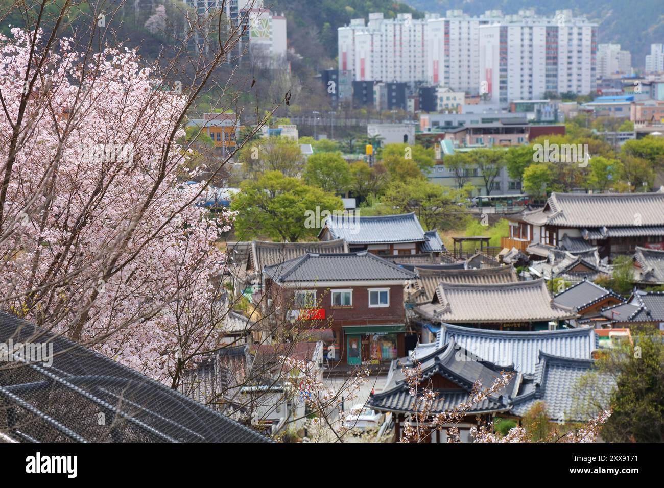 Jeonju Hanok Village Townscape en Corée du Sud. Quartier de l'architecture traditionnelle coréenne en bois avec fleurs de cerisier du printemps. Faible profondeur Banque D'Images