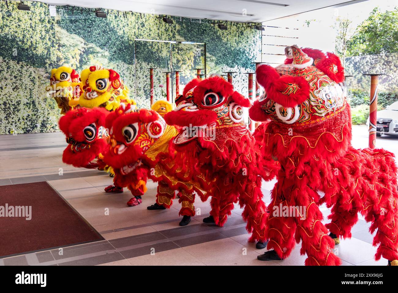 La danse du lion est la culture traditionnelle chinoise. En vedette ici six lions dansant devant les locaux, censés apporter de la chance aux occupants. Banque D'Images