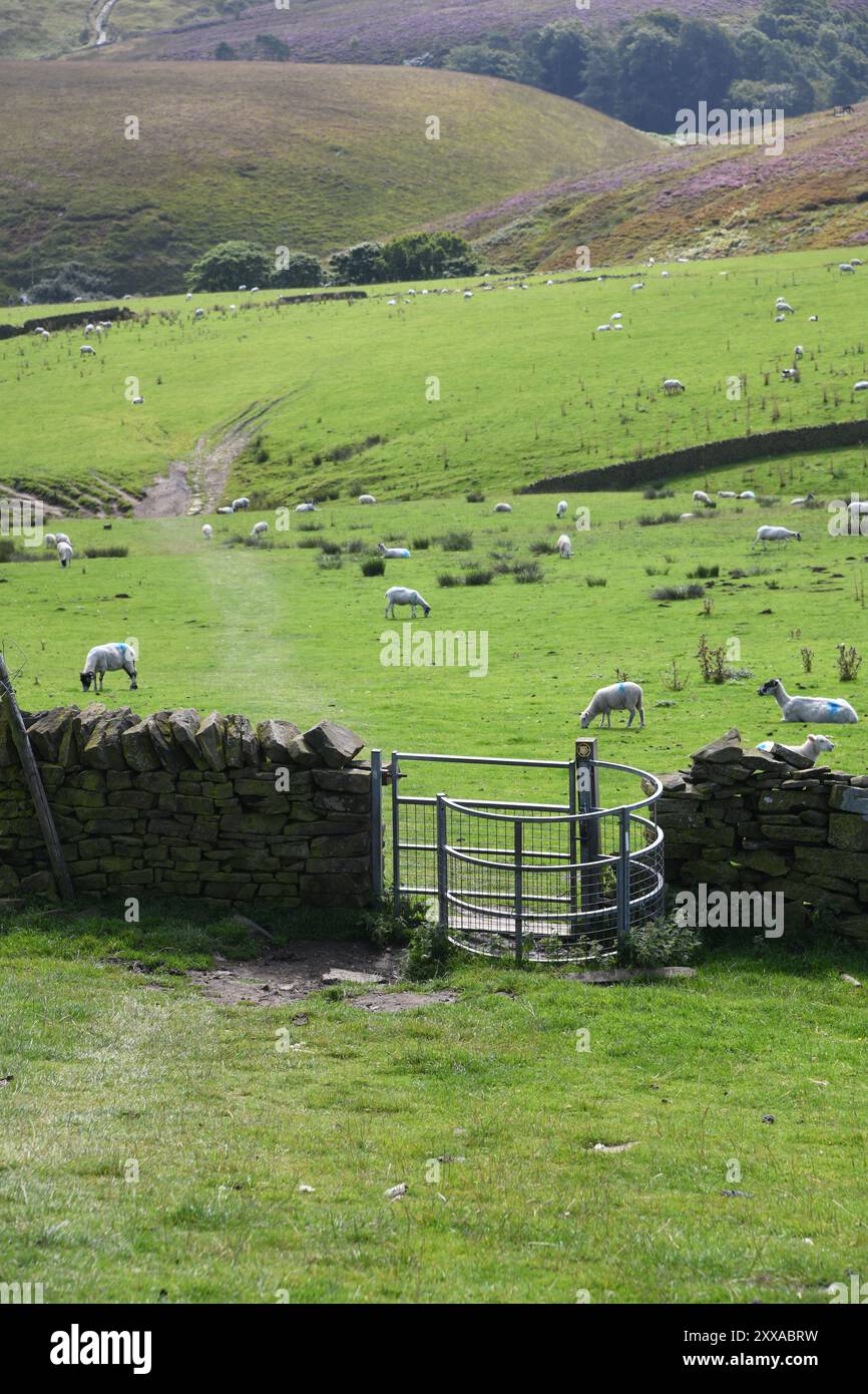 Parc national de Peak District Banque D'Images