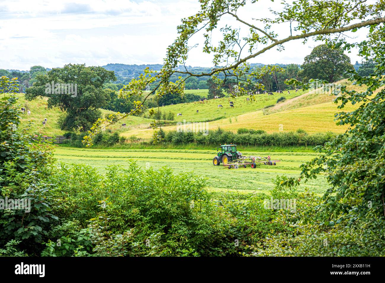 Tournage de l'herbe pour l'ensilage avec un tracteur John Deere 6130R et un râteau à foin Claas Liner 2900 à Irthington, Cumbria, Angleterre, Royaume-Uni Banque D'Images