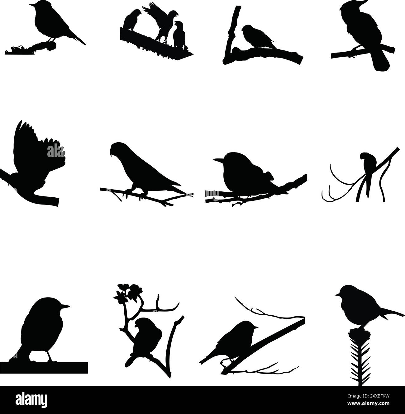 Ensemble de conception de silhouette d'oiseau sur un fond blanc Illustration de Vecteur