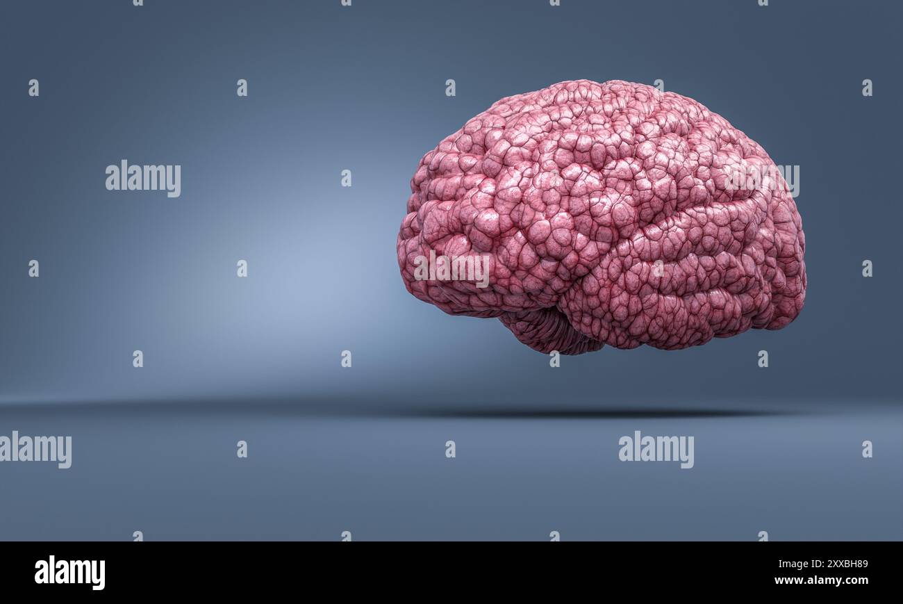 Cerveau humain réaliste flottant, esprit humain et concept d'intelligence 3D. Banque D'Images